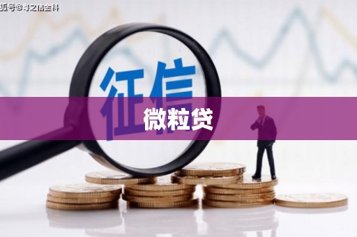 左云微粒贷