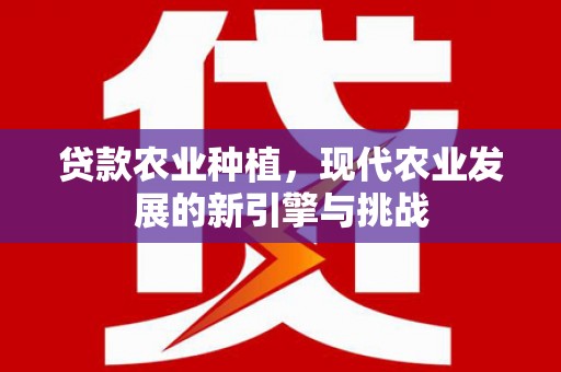 左云贷款农业种植，现代农业发展的新引擎与挑战