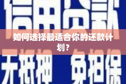 左云如何选择最适合你的还款计划？