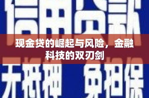 左云现金贷的崛起与风险，金融科技的双刃剑