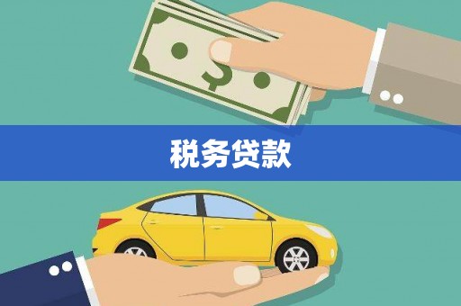 左云税务贷款