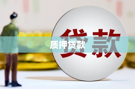 左云质押贷款