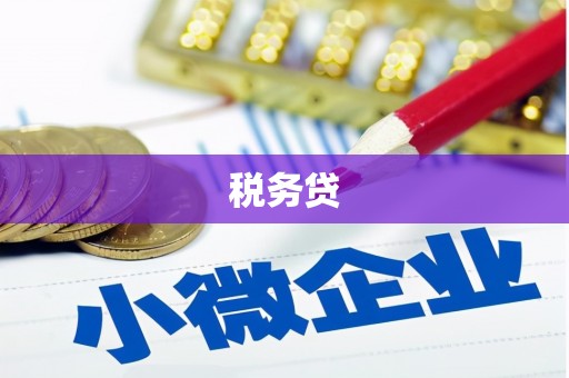左云税务贷