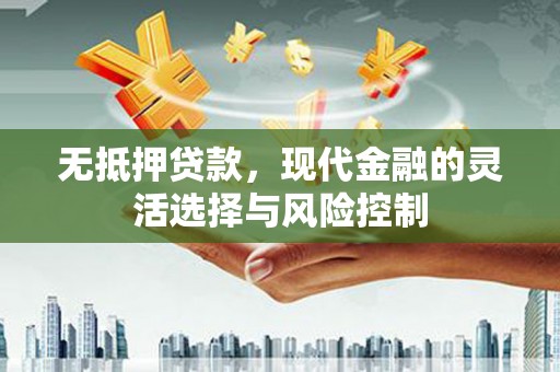 左云无抵押贷款，现代金融的灵活选择与风险控制