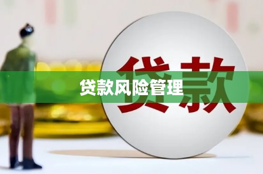 左云贷款风险管理