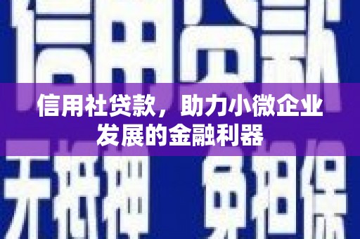 左云信用社贷款，助力小微企业发展的金融利器