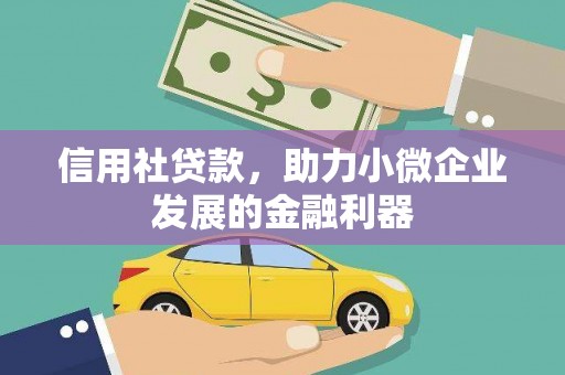 左云信用社贷款，助力小微企业发展的金融利器