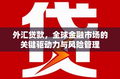 左云外汇贷款，全球金融市场的关键驱动力与风险管理
