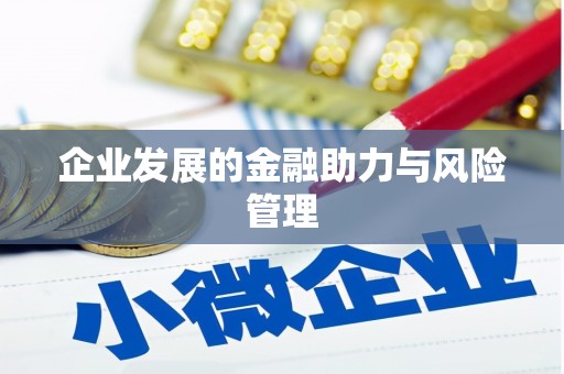 左云企业发展的金融助力与风险管理
