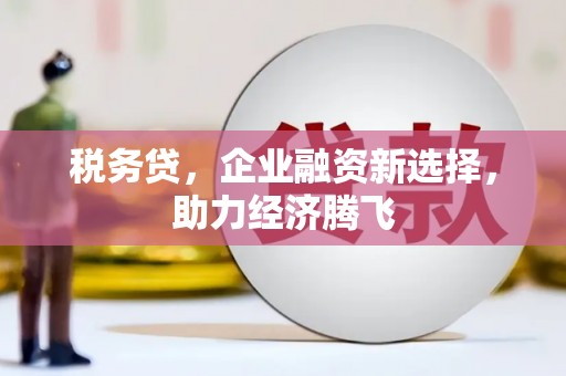 左云税务贷，企业融资新选择，助力经济腾飞