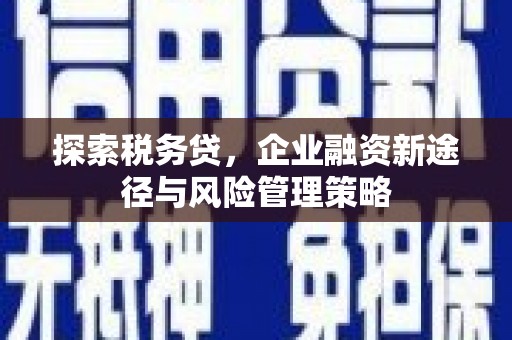 左云探索税务贷，企业融资新途径与风险管理策略