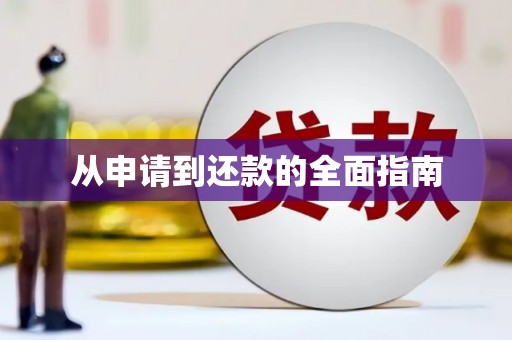 左云从申请到还款的全面指南