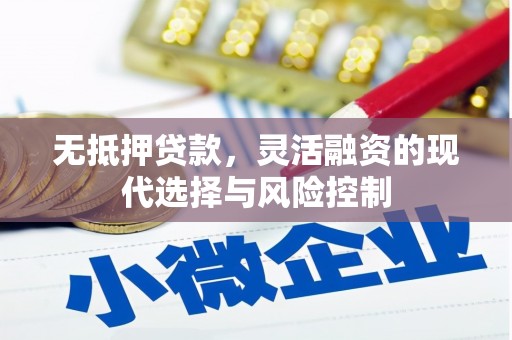 左云无抵押贷款，灵活融资的现代选择与风险控制