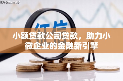 左云小额贷款公司贷款，助力小微企业的金融新引擎