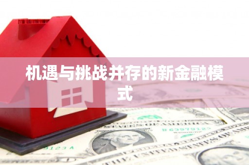 左云机遇与挑战并存的新金融模式