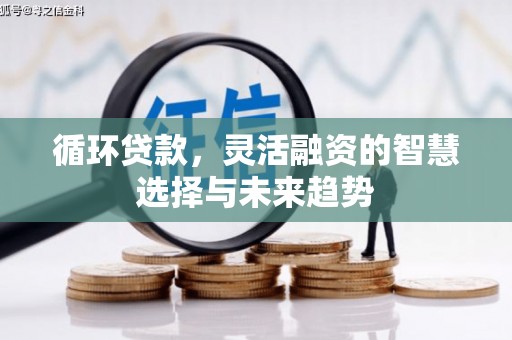 左云循环贷款，灵活融资的智慧选择与未来趋势