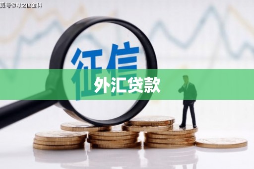 左云外汇贷款