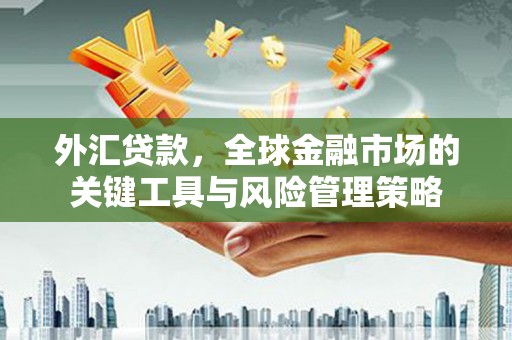 左云外汇贷款，全球金融市场的关键工具与风险管理策略