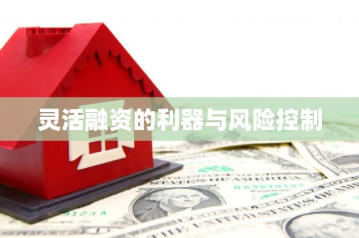 左云灵活融资的利器与风险控制