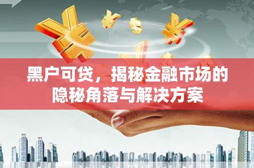 左云黑户可贷，揭秘金融市场的隐秘角落与解决方案