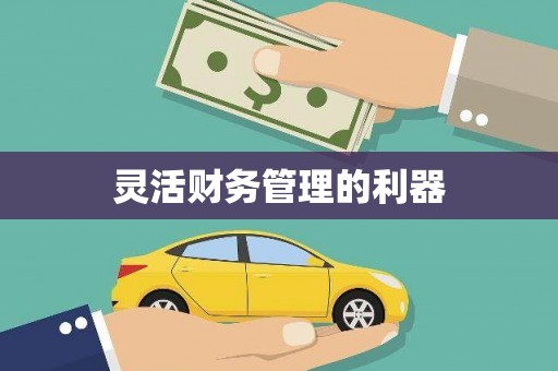 左云灵活财务管理的利器