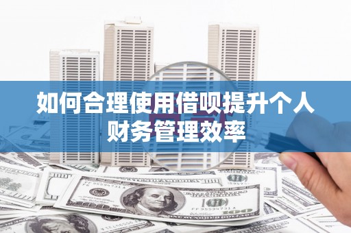 左云如何合理使用借呗提升个人财务管理效率