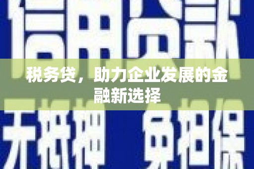 左云税务贷，助力企业发展的金融新选择