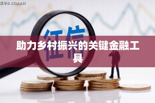 左云助力乡村振兴的关键金融工具