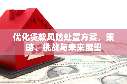 左云优化贷款风险处置方案，策略、挑战与未来展望