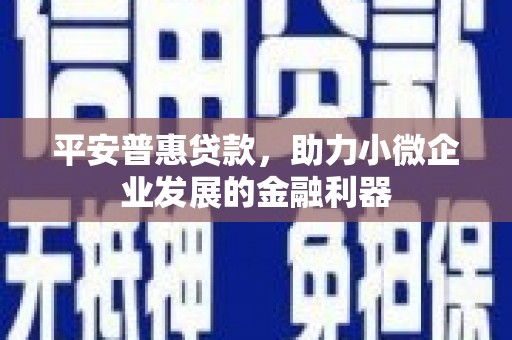 左云平安普惠贷款，助力小微企业发展的金融利器