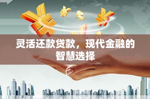左云灵活还款贷款，现代金融的智慧选择