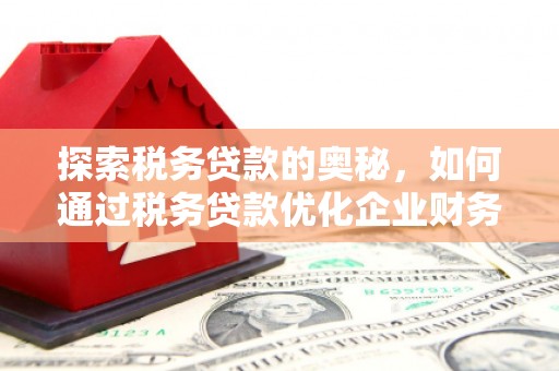 左云探索税务贷款的奥秘，如何通过税务贷款优化企业财务