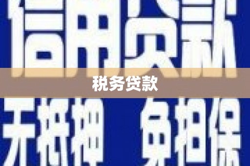 左云税务贷款