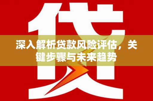 左云深入解析贷款风险评估，关键步骤与未来趋势