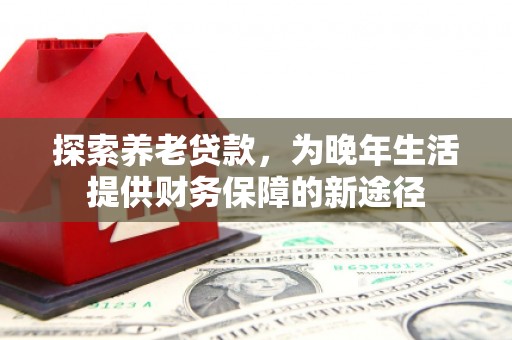 左云探索养老贷款，为晚年生活提供财务保障的新途径