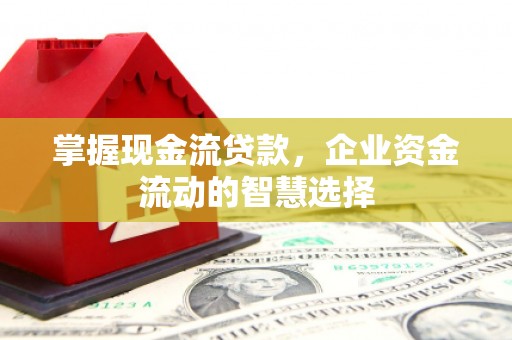 左云掌握现金流贷款，企业资金流动的智慧选择