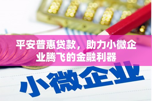 左云平安普惠贷款，助力小微企业腾飞的金融利器