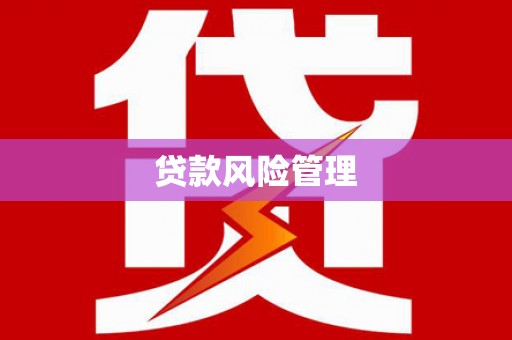 左云贷款风险管理