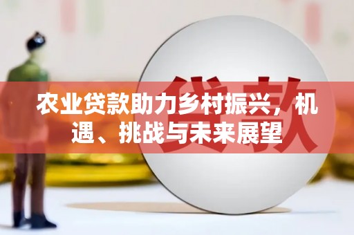 左云农业贷款助力乡村振兴，机遇、挑战与未来展望