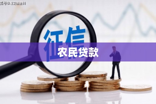 左云农民贷款