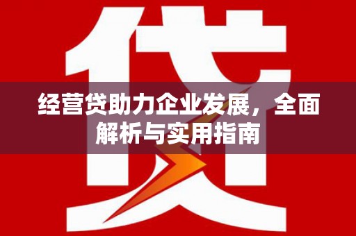左云经营贷助力企业发展，全面解析与实用指南
