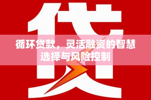 左云循环贷款，灵活融资的智慧选择与风险控制