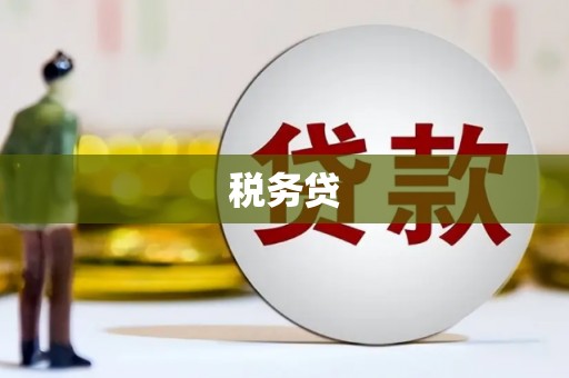 左云税务贷