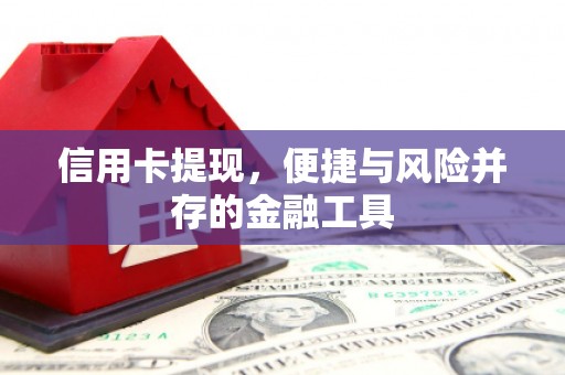 左云信用卡提现，便捷与风险并存的金融工具