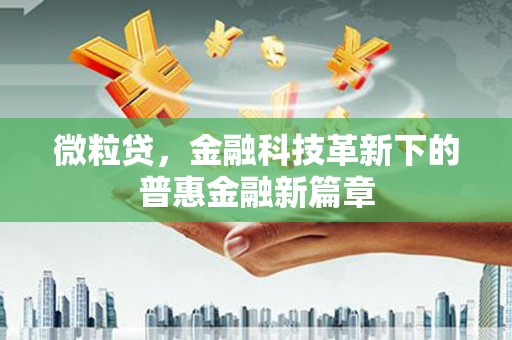 左云微粒贷，金融科技革新下的普惠金融新篇章