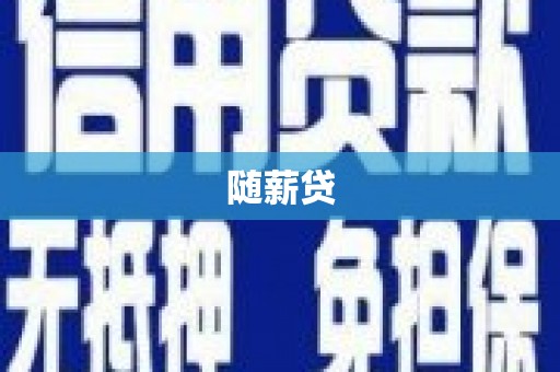 左云随薪贷