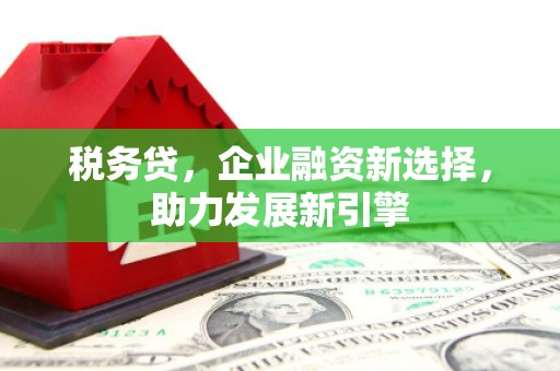 左云税务贷，企业融资新选择，助力发展新引擎