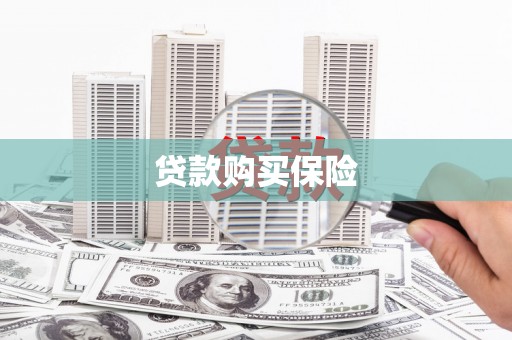 左云贷款购买保险