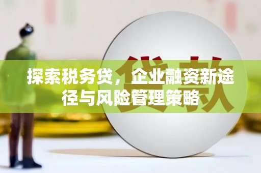 左云探索税务贷，企业融资新途径与风险管理策略
