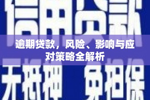 左云逾期贷款，风险、影响与应对策略全解析